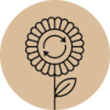 Flower with arrows icon