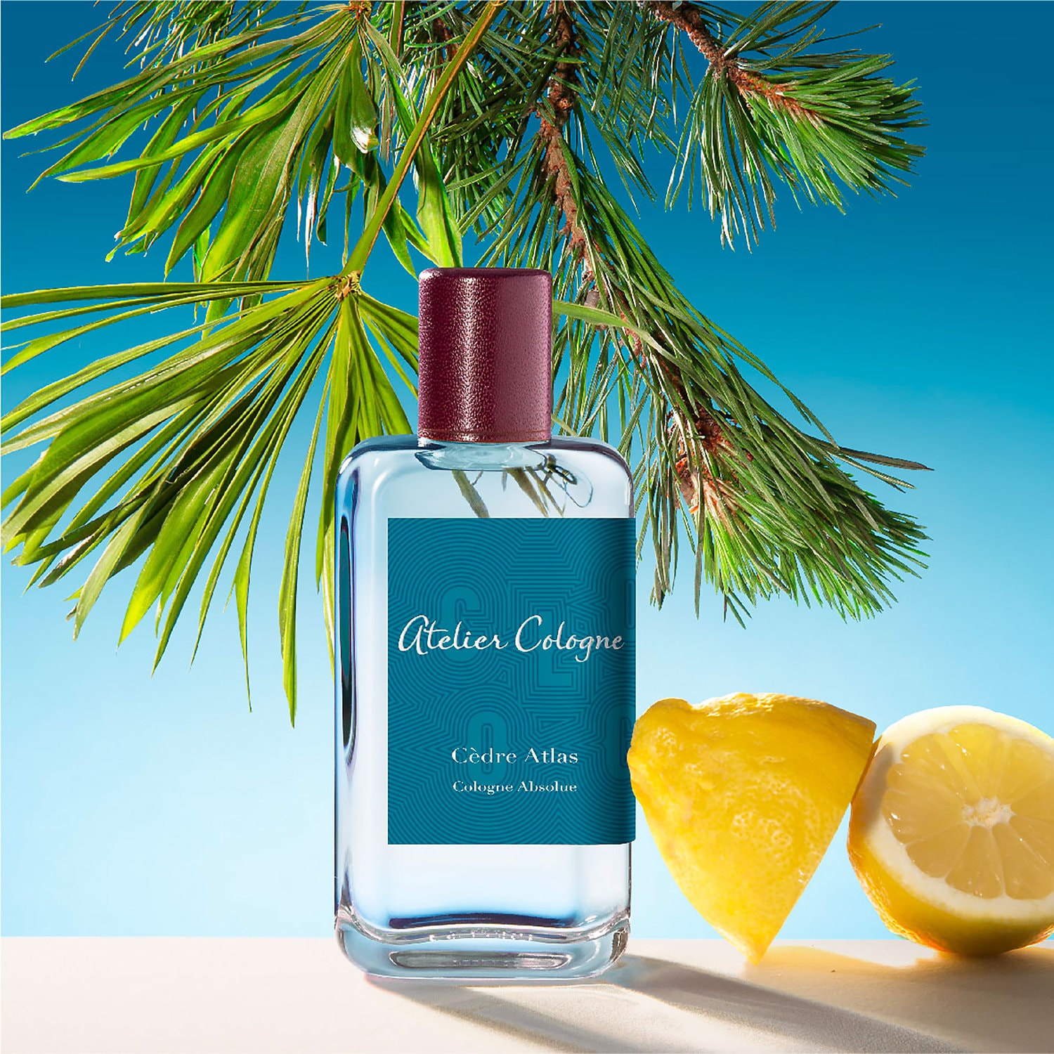 cedar atlas perfume