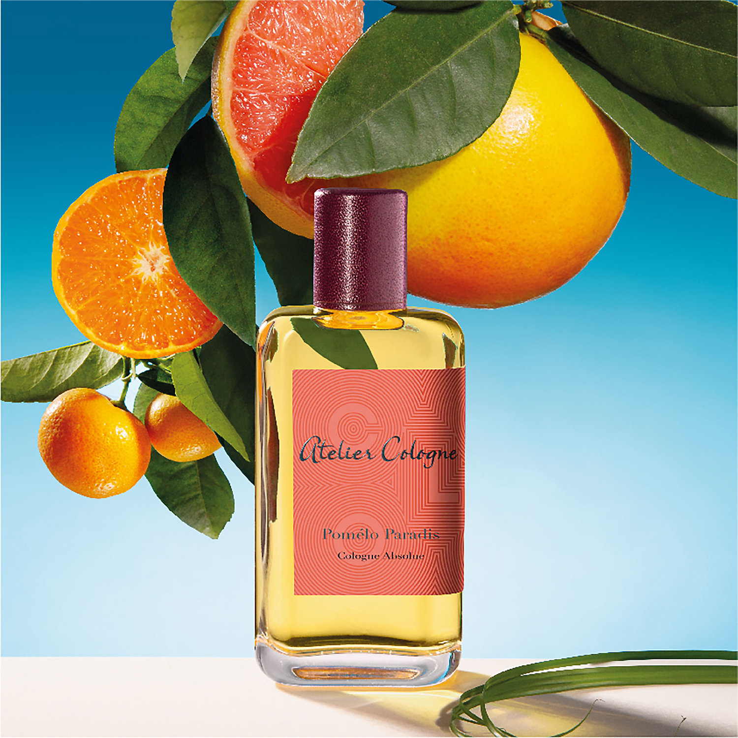 atelier cologne pomelo paradis cologne absolue