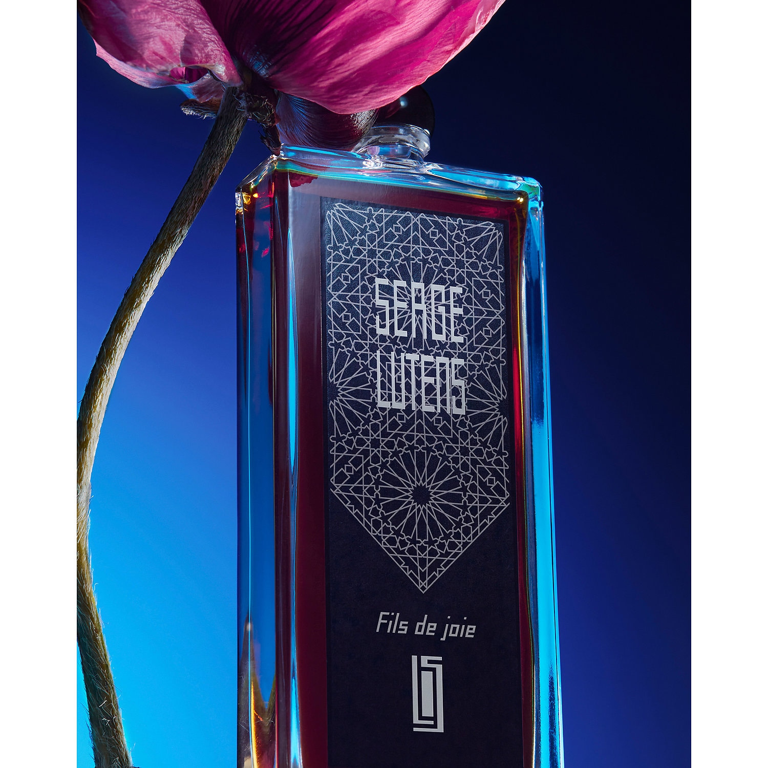 serge lutens fils de joie