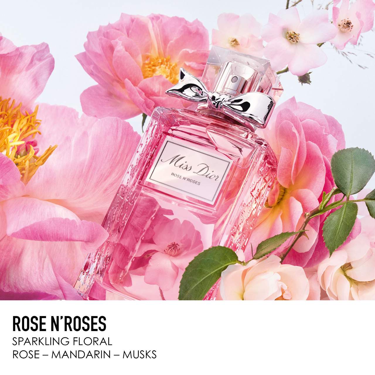 Miss selling Dior perfume Rose N’ Roses