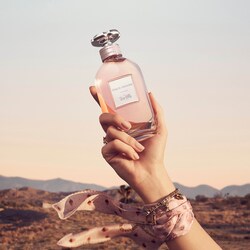 coach dreams perfume priceline