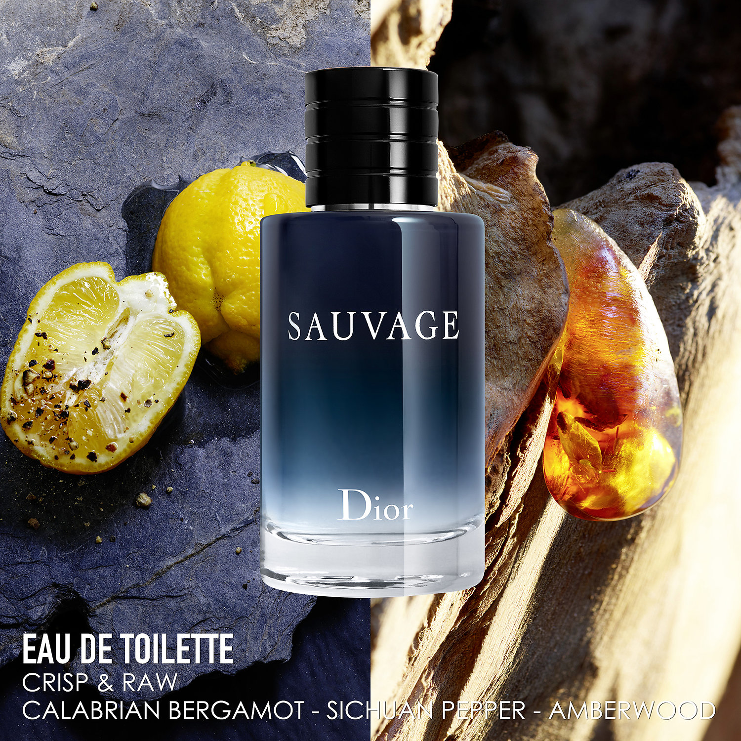 sauvage gift