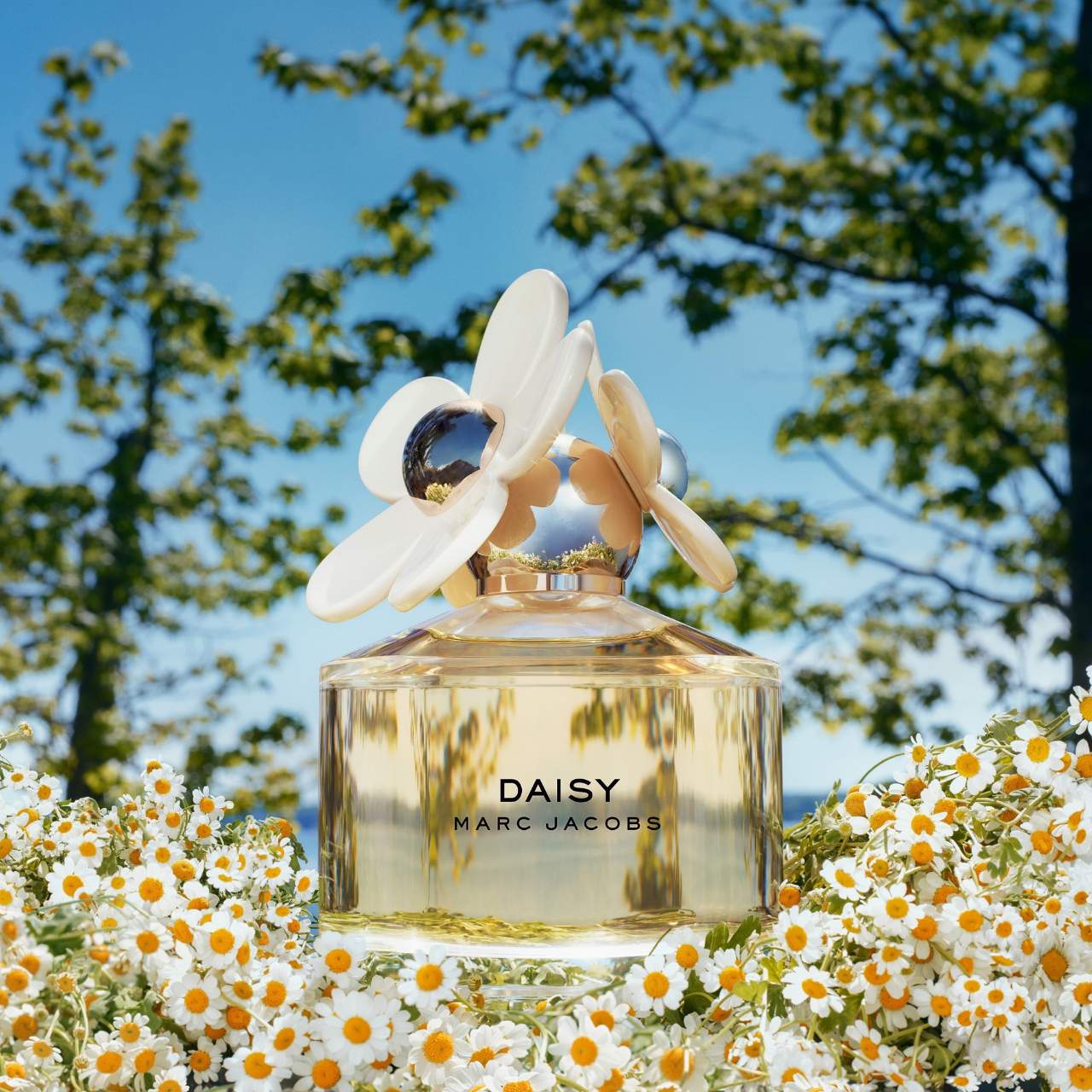 Daisy Eau de Toilette