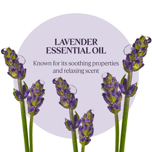 One of the key features of this product is its foaming formula. When poured under running water, it creates a rich and creamy foam that envelopes the bathwater, filling the room with a delicate lavender fragrance. The luxurious foam not only provides a delightful sensory experience but also helps to cleanse and nourish the skin.