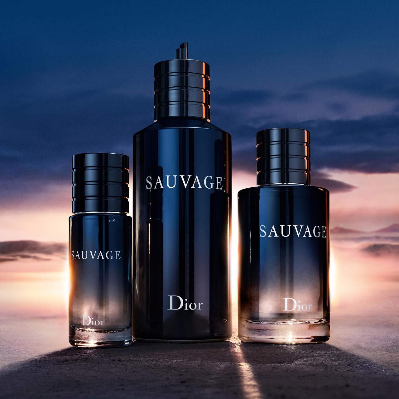 Sauvage Eau de Toilette