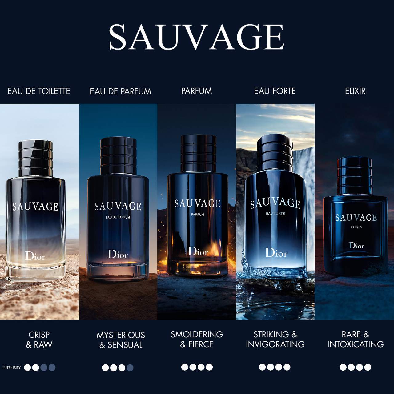 Sauvage Eau de Toilette