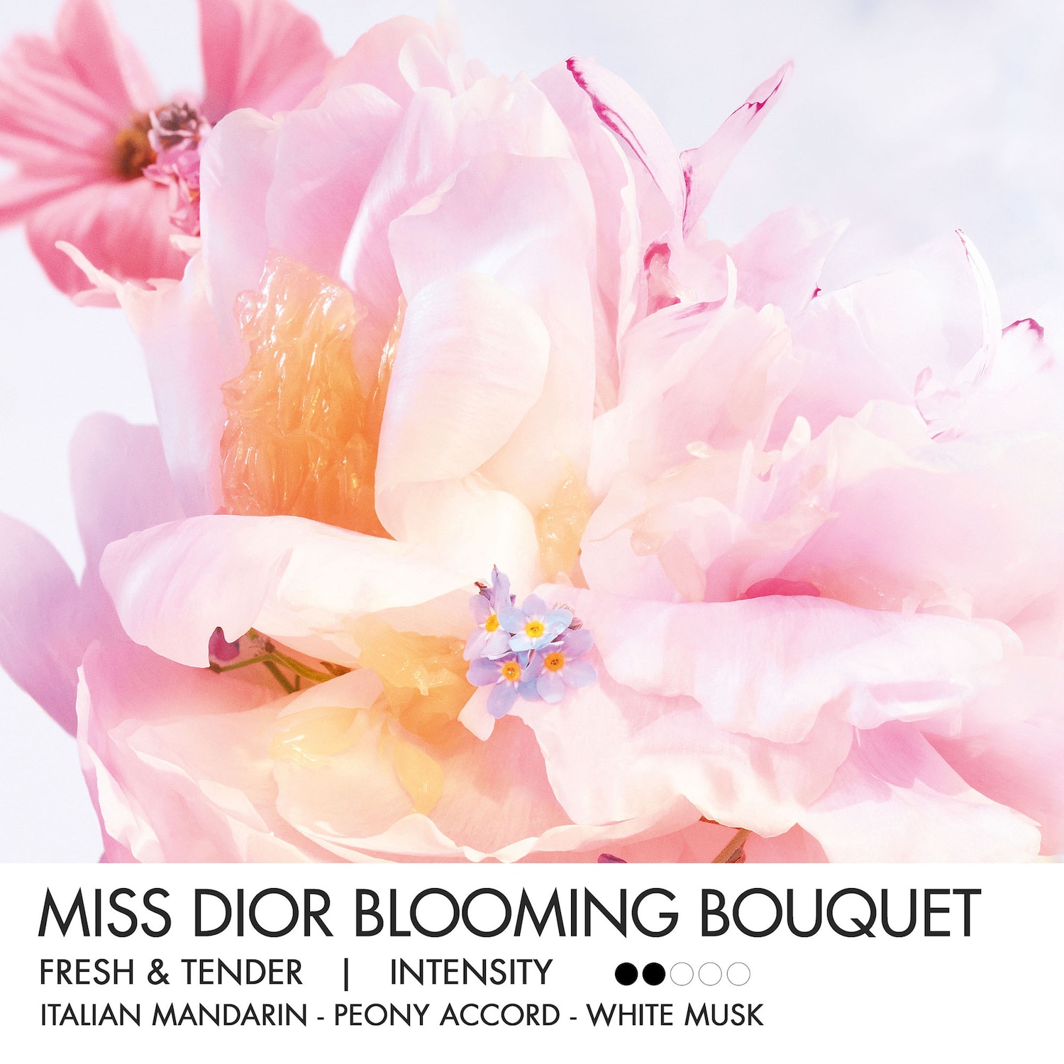 Eau de toilette Blooming Bouquet Miss Dior