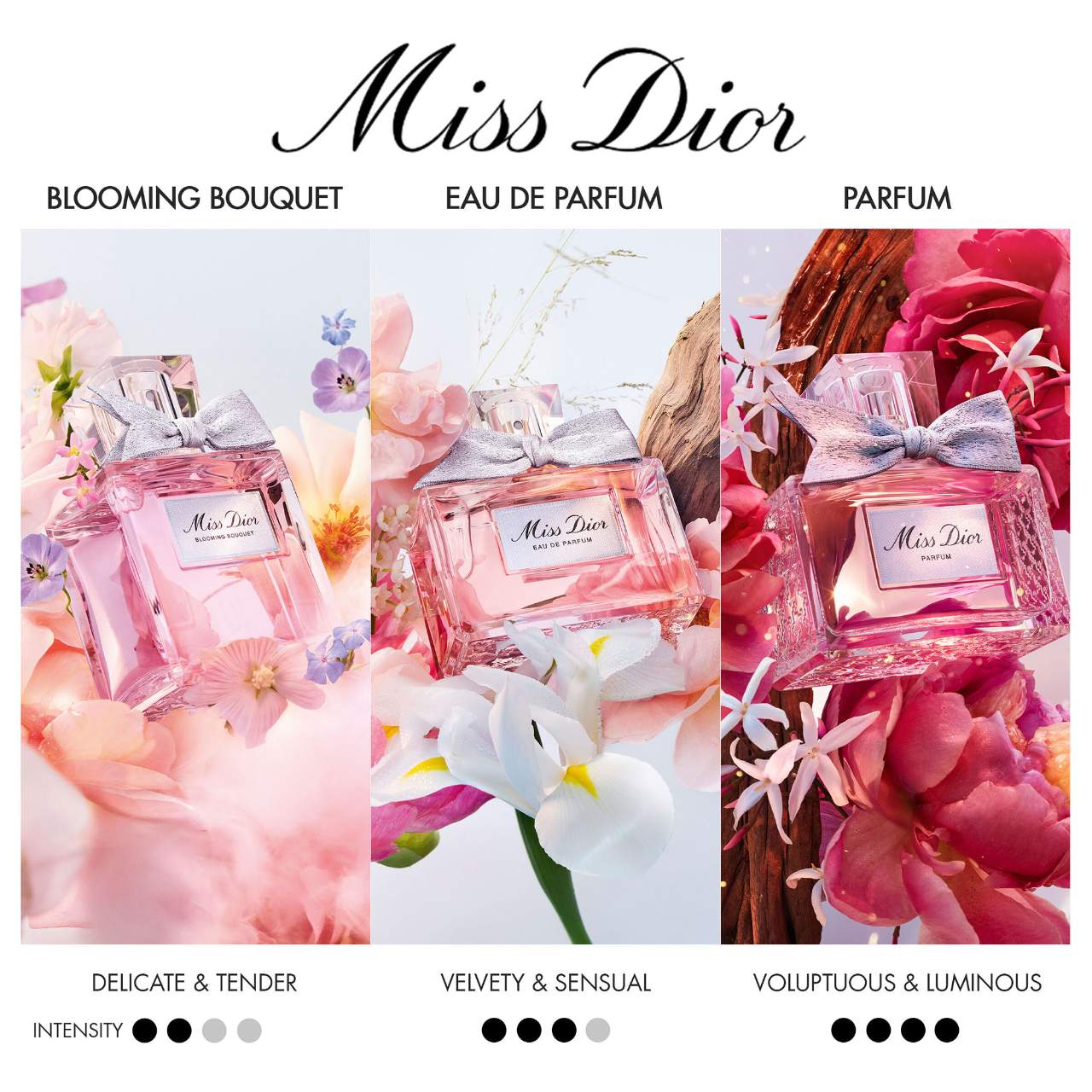 Eau de toilette Blooming Bouquet Miss Dior