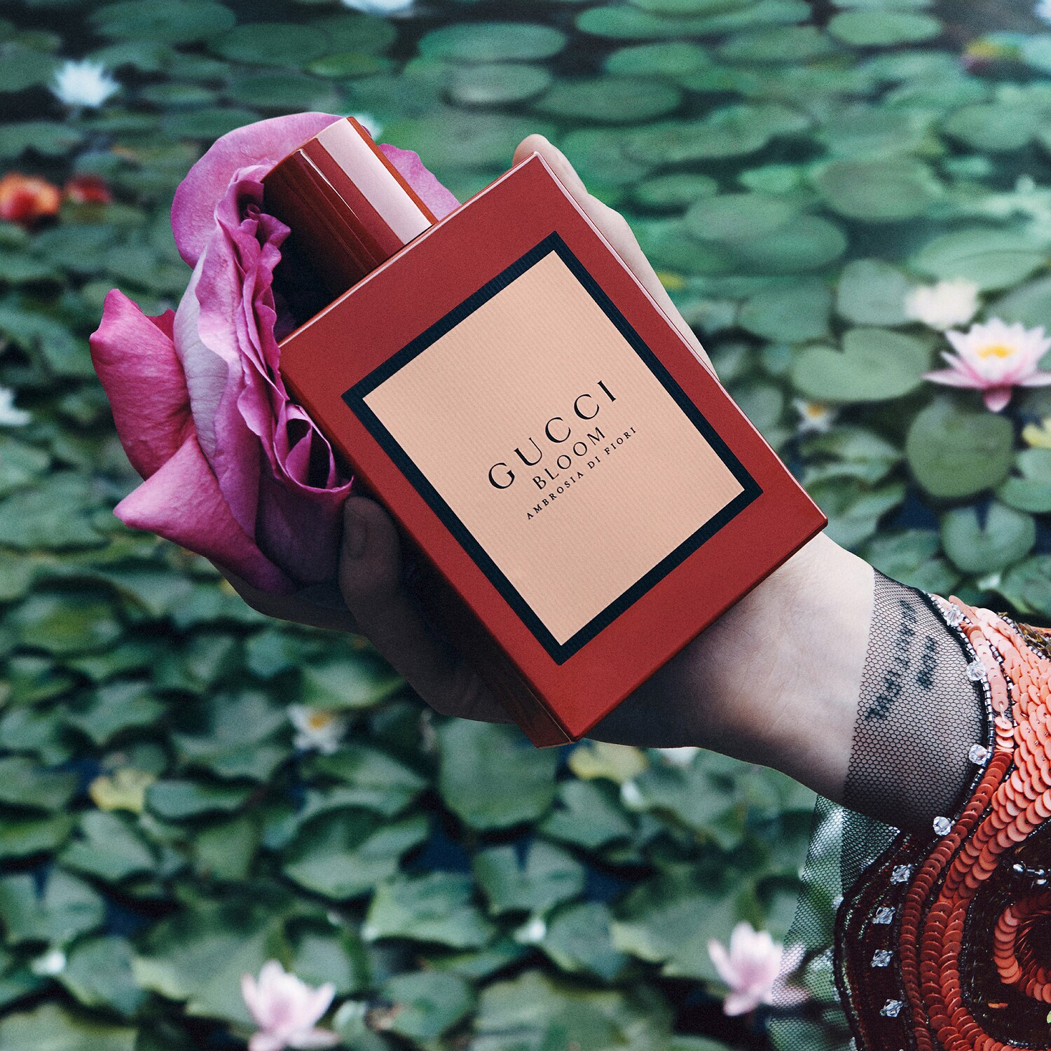 gucci bloom 50ml edp