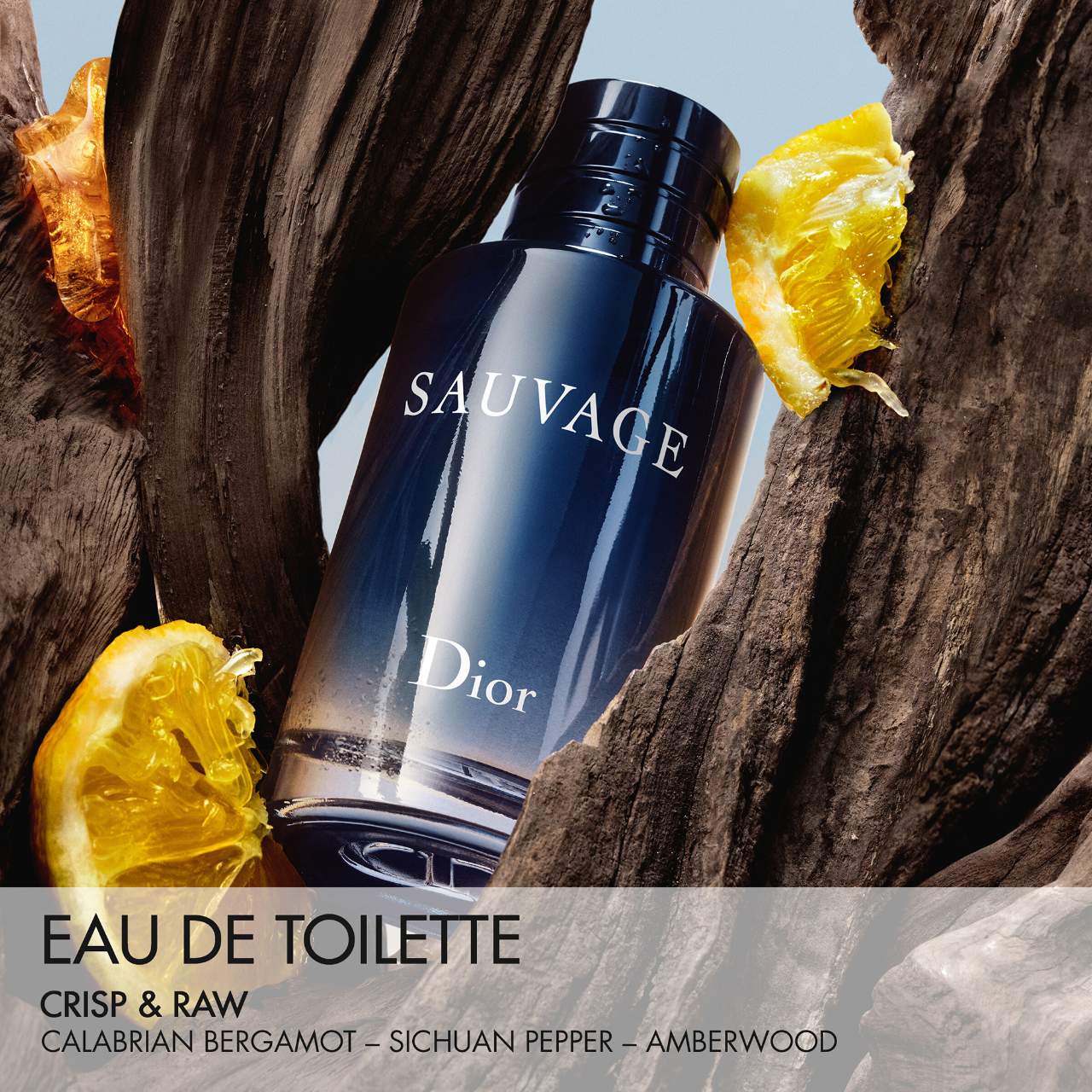 Sauvage Eau de Toilette