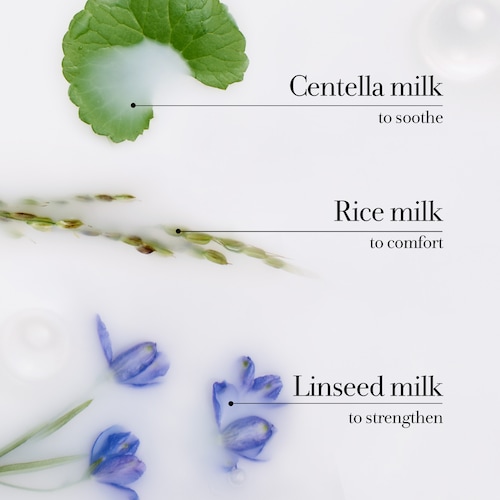 Milk, historically recognized for its rich nutrients, contains proteins, lactic acid, vitamins, and minerals. These components help to soften, soothe, and moisturize the skin. The milk proteins present in the body lotion work to maintain the skin's natural moisture balance and restore its texture, leaving it feeling soft and supple.