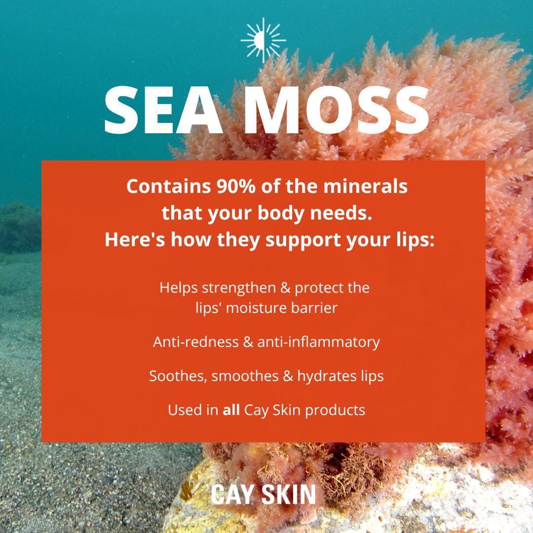 CAY SKIN Isle Lip Balm SPF 30 with Sea Moss and Aloe Stem Cells ...