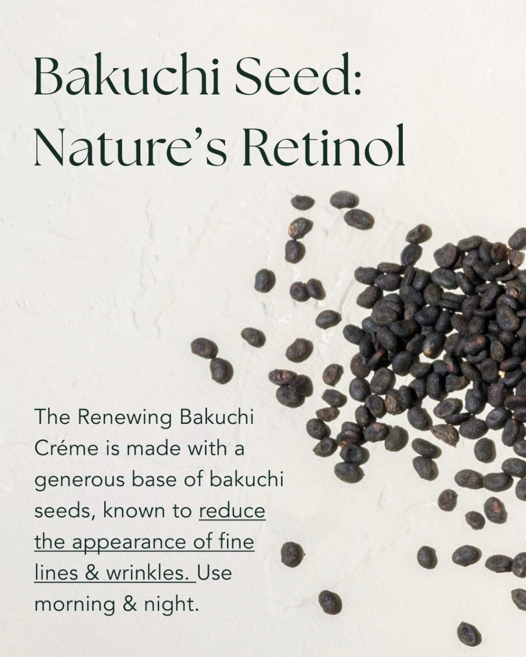 Renewing Bakuchi Crème - Eternal Reign