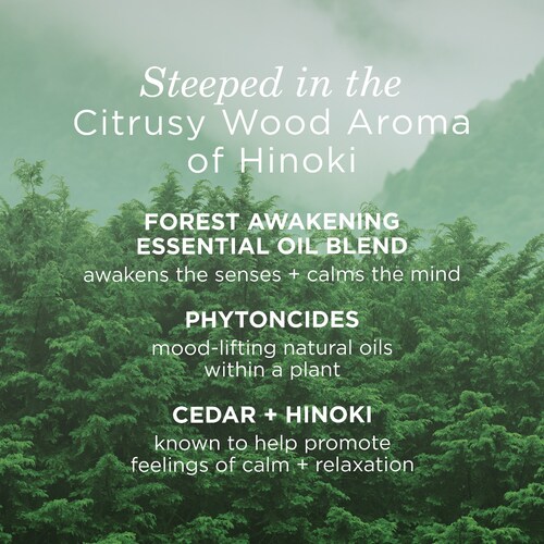 The main active ingredient in this body wash is derived from the Hinoki cypress tree, which is native to Japan. This tree is known for its therapeutic properties and has been used for centuries in traditional Japanese practices. The Hinoki extract in the body wash helps to soothe and calm the skin, providing a sense of relaxation during every use.