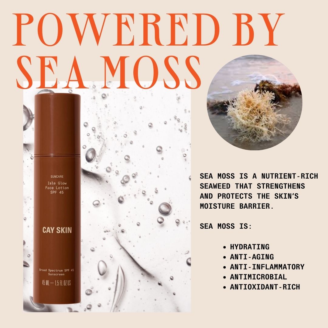 Isle Glow Face Sunscreen Moisturizer SPF 45 with Sea Moss and Niacinamide