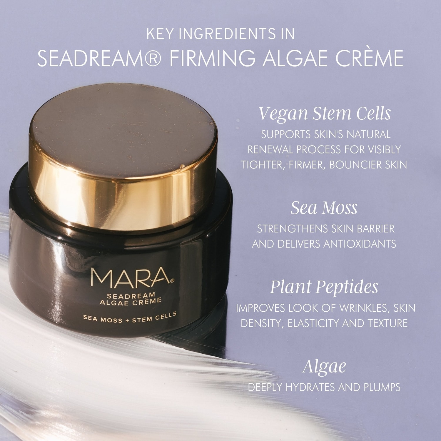 SeaDream Firming Algae Creme Moisturizer with Sea Moss + Peptides