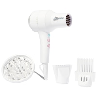 Mane - This Totally Blows! Ionic Compact Hair Dryer