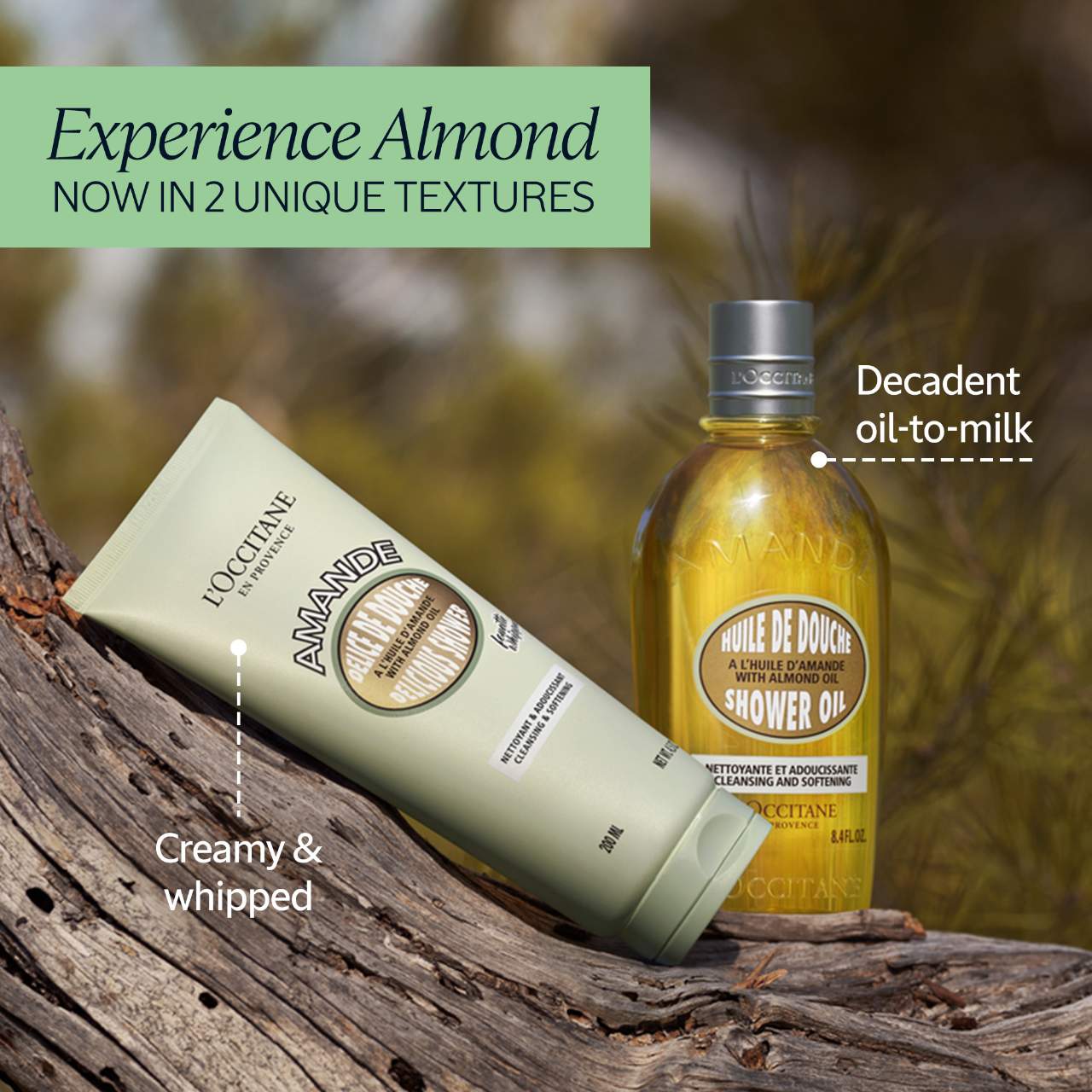 Nourishing Whipped Almond Delicious Shower Body Cleanser