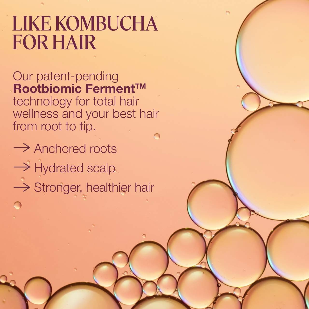 Strengthen Concentrated Shampoo for Dry, Damaged Hair