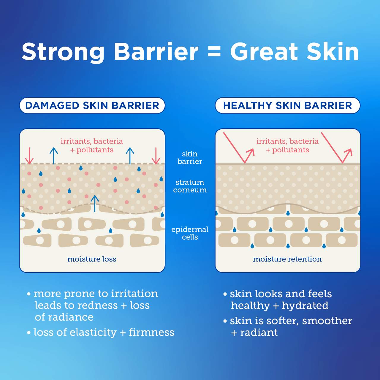 Barrier Buddies: Light Weights Hydration Set for Combination + Oily Skin