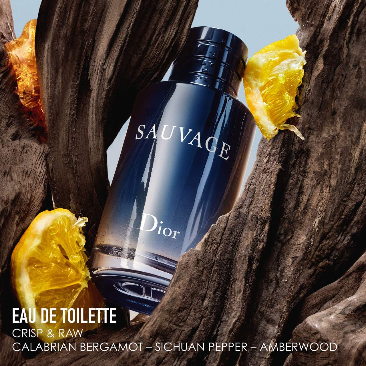 Sauvage Eau de Toilette Gift Set