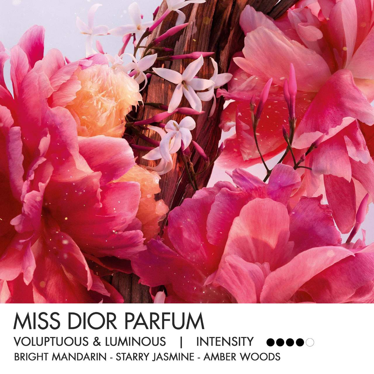 Miss Dior Mini Miss Parfum Solid Perfume