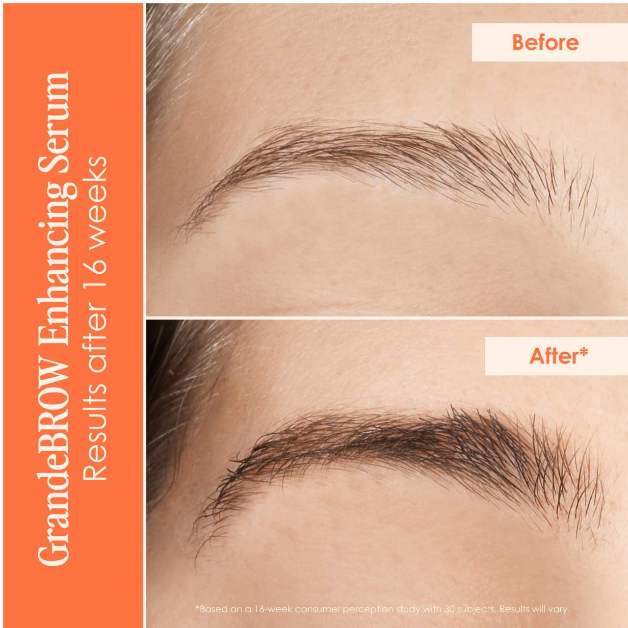 Lamination Station Brow Serum and Brow Gel Set