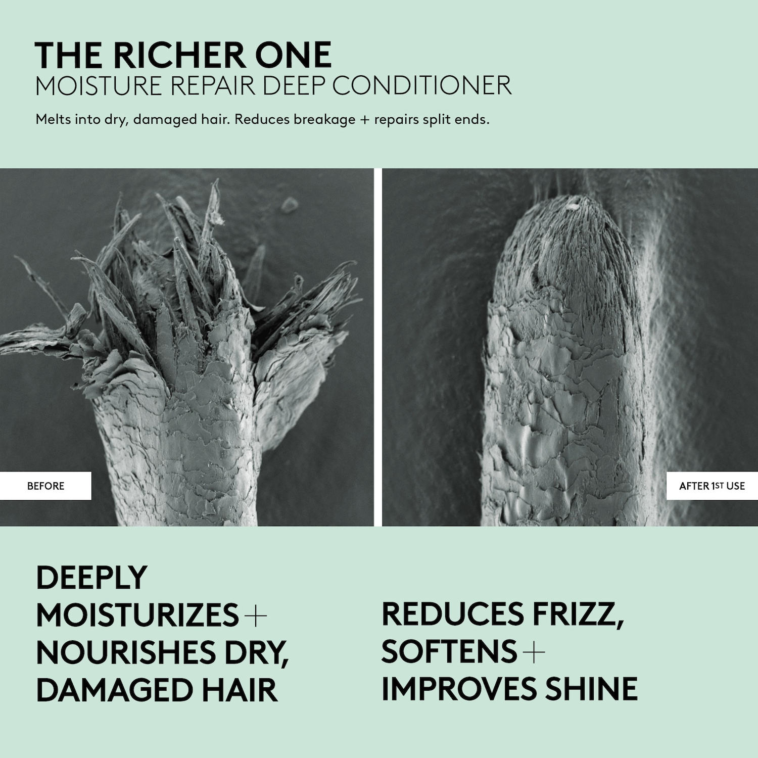 The Richer One Moisture Repair Deep Conditioner for Medium to Thick Hair