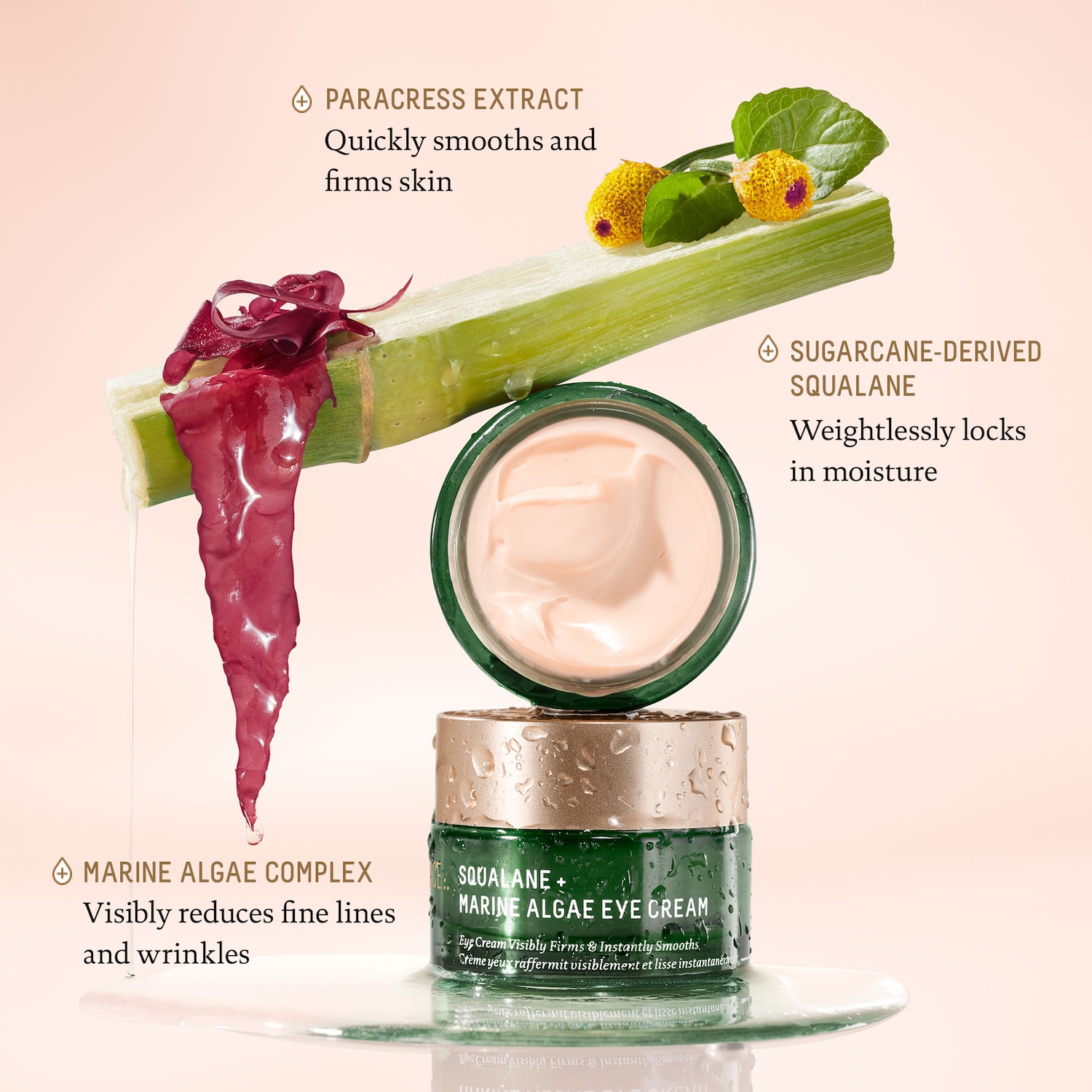 Squalane + Marine Algae Eye Cream for Fine Lines & Dark Circles