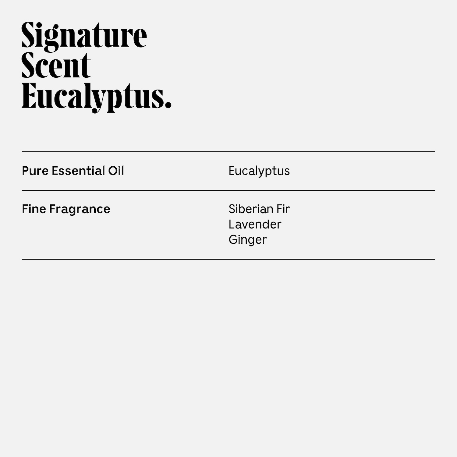 Eucalyptus Body Essentials Set - Trial + Travel