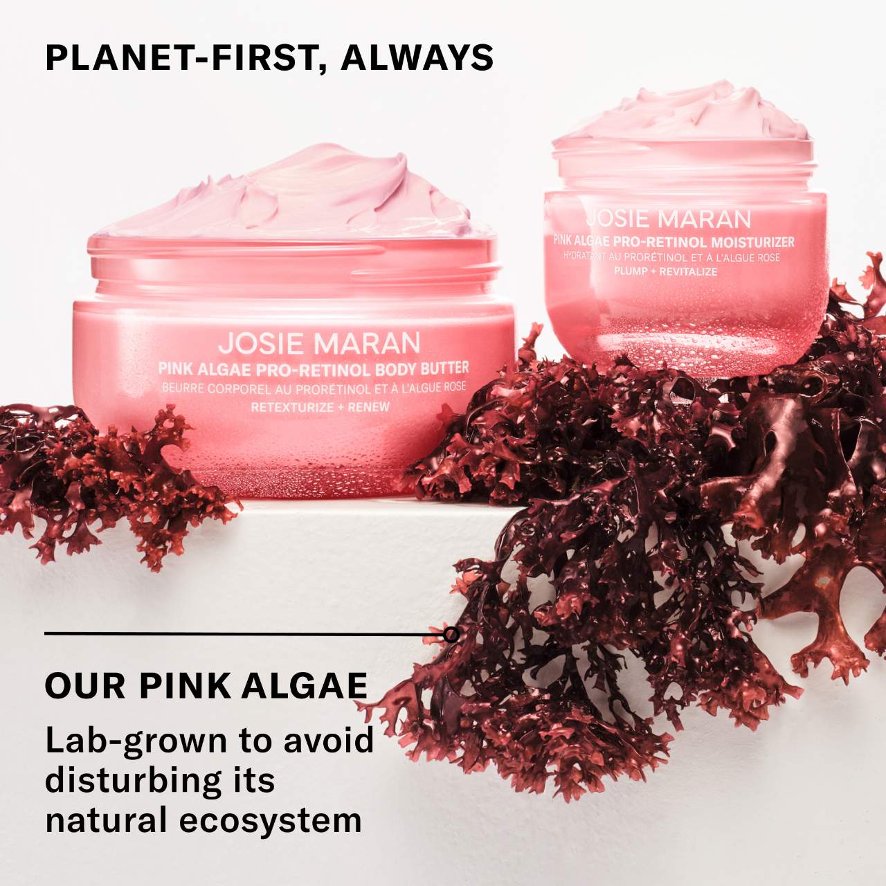 PINK ALGAE PRO-RETINOL BODY BUTTER FOR ANTI-AGING AND KP