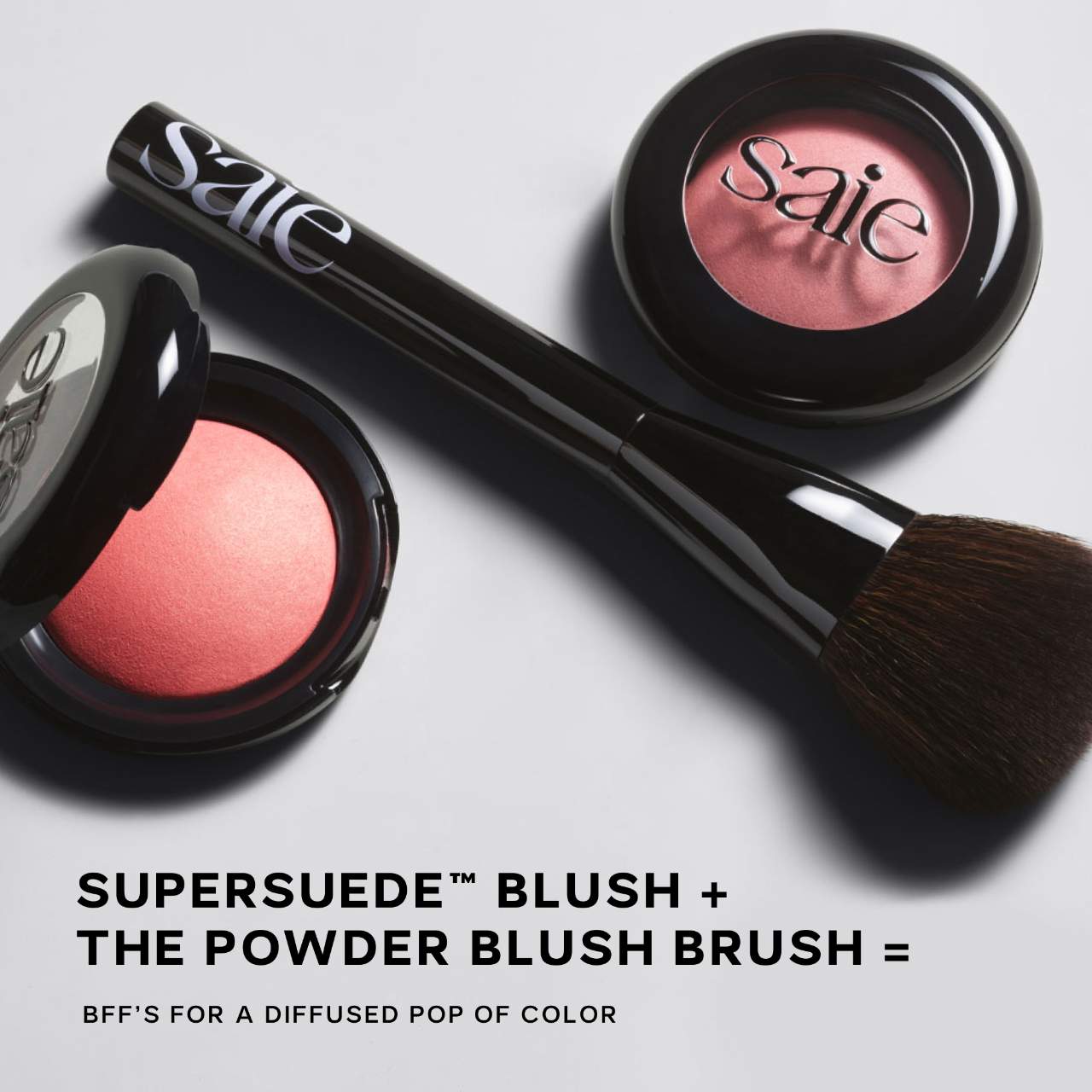 The Powder Blush Brush