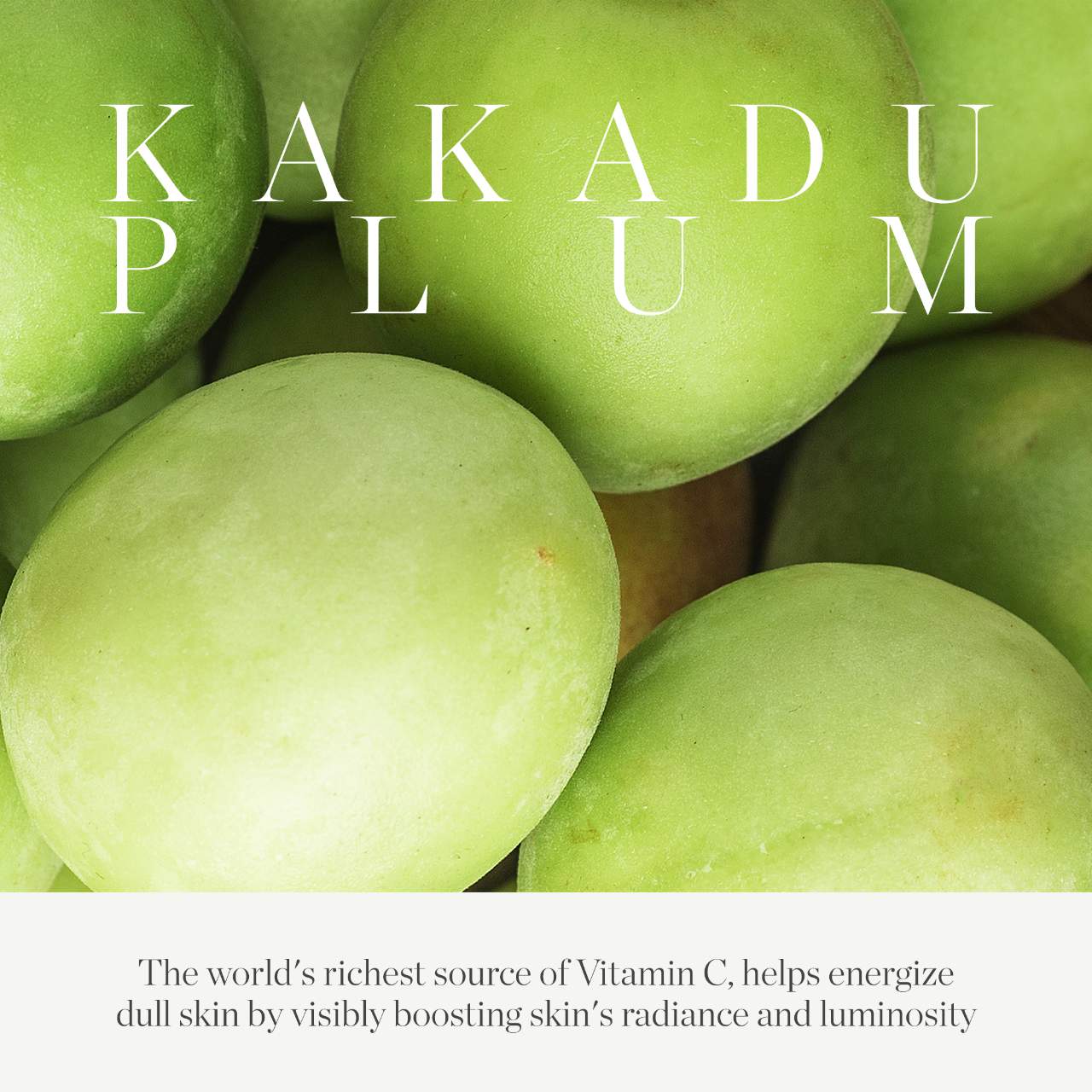 Kakadu Plum Vitamin C Eye Cream